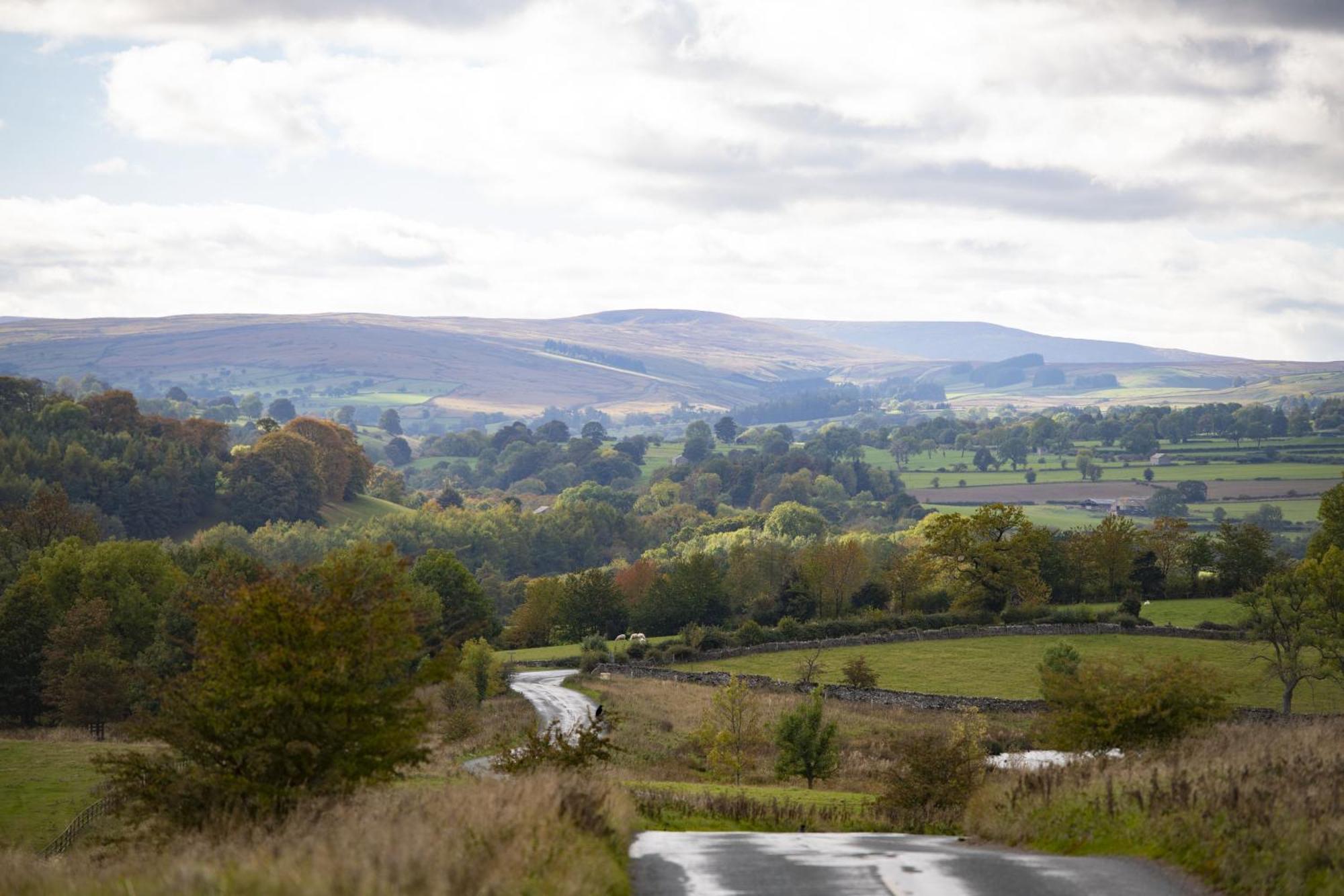 Jenny Wren Cottage Middleham Bagian luar foto